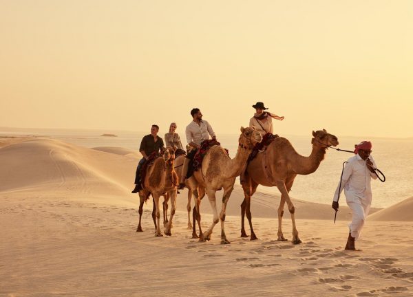 Mundial Qatar 2022 Paquetes de Viaje Mexticket Camellos Qatar